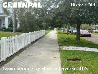 Grass Cut nearby St. Petersburg, FL, 