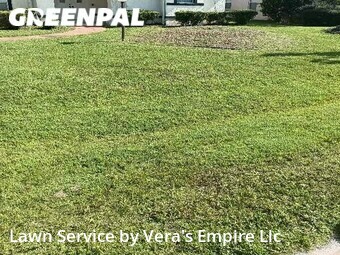 Lawn Mow nearby Palm Coast, FL, 