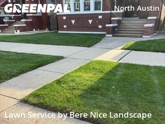 Yard Cutting nearby Chicago, IL, 