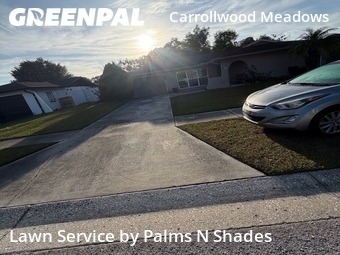 Grass Cutting nearby Tampa, FL, 