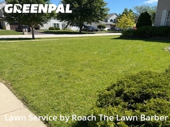 Grass Cutting nearby Plainfield, IL, 