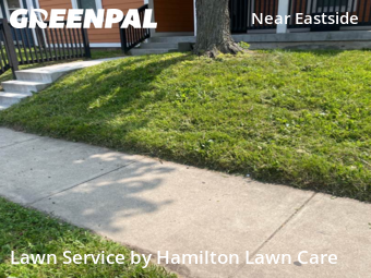 Lawn Cutting nearby Indianapolis, IN, 