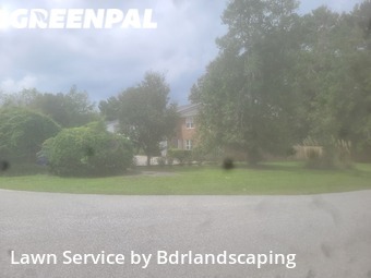 Grass Cut nearby Charleston, SC, 