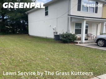 Grass Cut nearby Jacksonville, FL, 