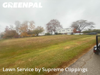 Weed Trimming in West Chester, 45069, Yard Management by Supreme Clippings , work completed in Dec , 2025