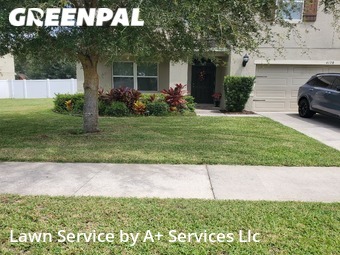 Lawn Care Service nearby Spring Hill, FL, 