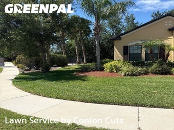 Grass Cutting nearby Palmetto, FL, 