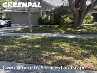 Lawn Mowing nearby Orlando, FL, 