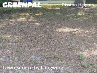 Lawn Cutin St Petersburg,33710,Lawn Mowing by Longwing, work completed in Dec , 2025