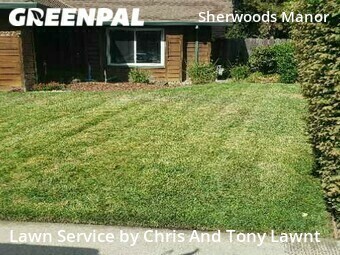 Yard Mowing nearby Stockton, CA, 