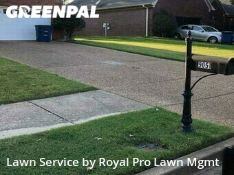 Grass Cut nearby Olive Branch, MS, 