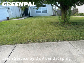 Lawn Care in Crest Hill, 60403, Lawn Care by D&V Landscaping , work completed in Nov , 2025