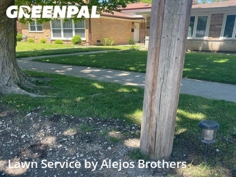 Yard Cutting nearby Skokie, IL, 