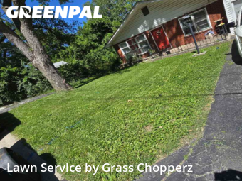 Grass Cut nearby Ferguson, MO, 