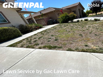 Yard Cutting nearby Sacramento, CA, 