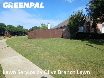 Lawn Mowing Servicein Keller,76248,Lawn Cutting by Olive Branch Lawn, work completed in Jun , 2026
