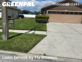 Lawn Cut nearby Trinity, FL, 