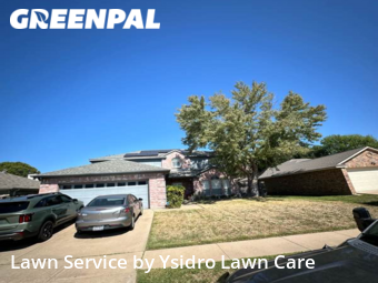 Lawn Cut nearby Grand Prairie, TX, 