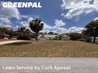 Lawn Cut nearby Spring Hill, FL, 