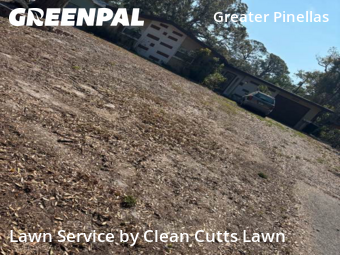 Landscape Design In St. Petersburg,33712,Landscaping Cleanup by Clean Cutts Lawn , work completed in Feb , 2026
