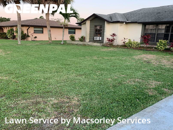 Grass Cutting nearby Cape Coral, FL, 