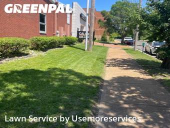Yard Mowing nearby St. Louis, MO, 