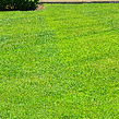 residential-lawn-cutting-businesses-in-Albuquerque-NM