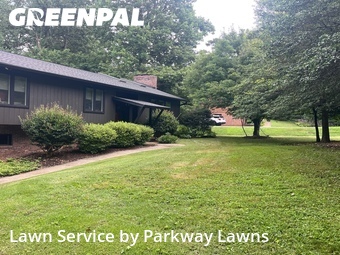 Lawn mowed in Asheville, 28805