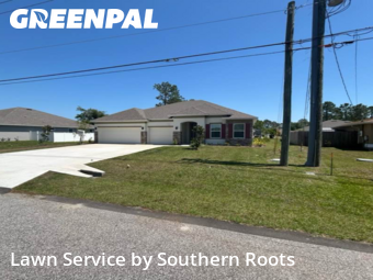 Grass Cut nearby Palm Coast, FL, 