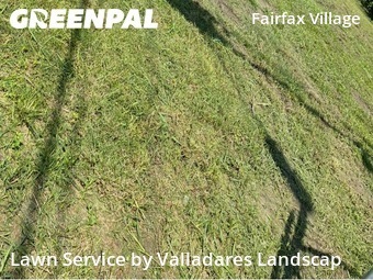 Yard Cuttingin Spring,77373,Lawn Maintenance by Valladares Landscap, work completed in Feb , 2026