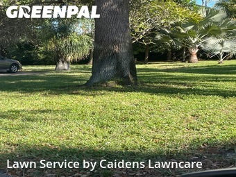 Grass Cut nearby Greenacres, FL, 