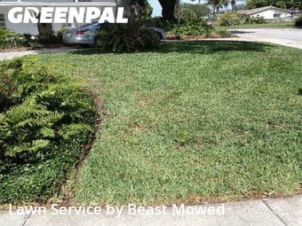 Grass Cutting nearby Seminole, FL, 