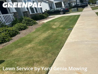 Lawn Cut nearby Fort Mill, NC, 