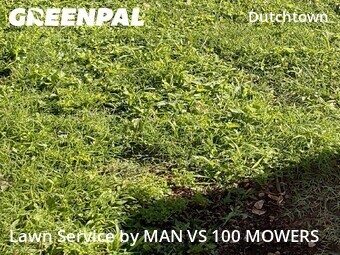 Lawn Service nearby St. Louis, MO, 