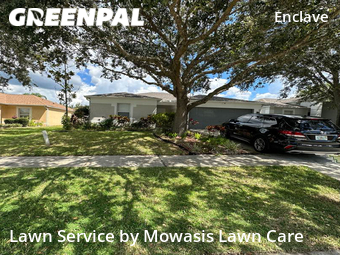 Lawn Mow nearby Land O' Lakes, FL, 