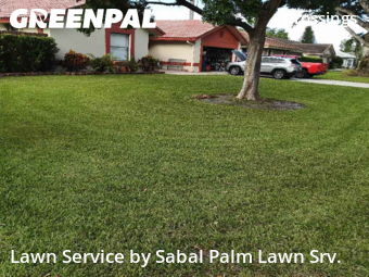 Lawn Upkeep in Coral Springs, 33065, Lawn Cutting by Sabal Palm Lawn Srv., work completed in Nov , 2025