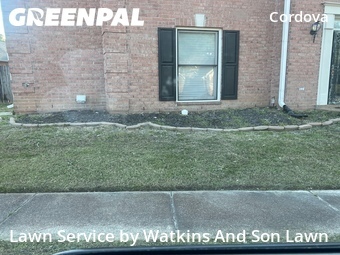 Yard Cutting nearby Cordova, TN, 