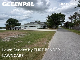 Lawn mowed in Westchase, 33626