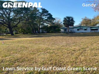 Yard Cutting nearby St. Petersburg, FL, 