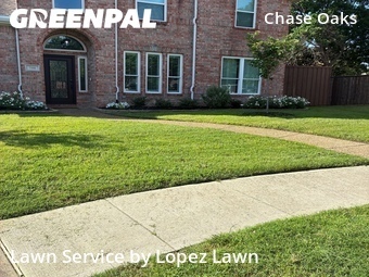 Lawn Care Servicein Plano,75025,Grass Cutting by Lopez Lawn, work completed in Jun , 2026
