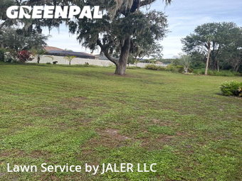 Grass Cut nearby Palmetto, FL, 