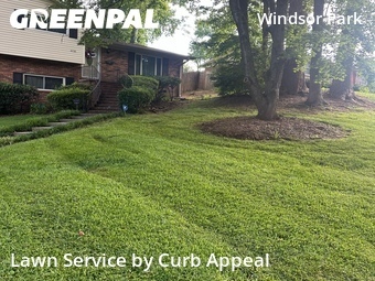Lawn Cutin Charlotte,28215,Lawn Cut by Curb Appeal, work completed in Jun , 2026