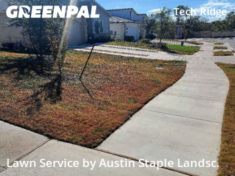 Grass Services in Pflugerville, 78660, Mowing Services by Austin Staple Landsc., work completed in Nov , 2025