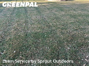 Lawn Cut nearby Lubbock, TX, 