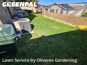 Work completed by professional-lawn-care-service-in-Santa Clarita-CA
