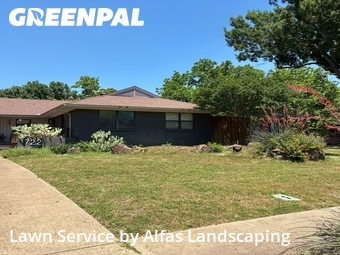 Lawn Care Servicein Richardson,75080,Lawn Care Service by Alfas Landscaping, work completed in Jun , 2026