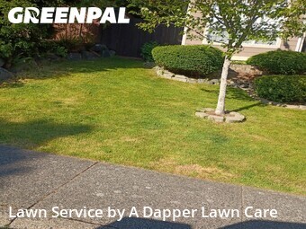 Lawn Cut nearby Bellingham, WA, 