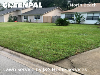 Grass Cut nearby Jacksonville, FL, 