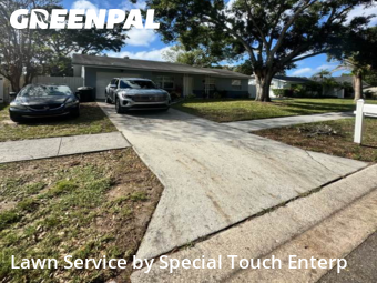 Grass Cuttingin Dunedin,34698,Lawn Care by Special Touch Enterp, work completed in Jan , 2026