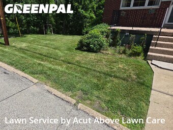 Yard Mowing nearby Pittsburgh, PA, 
